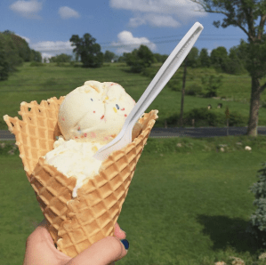 Screen Shot 2015-08-12 at 1.54.11 AM