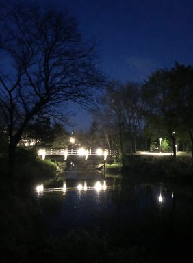 Screen Shot 2020-05-04 at 3.25.01 PM